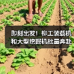 即刻出发!柳工装载机和大型挖掘机批量奔赴西藏(图4) 即刻出发!柳工装载机和大型挖掘机批量奔赴西藏(图4)