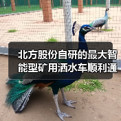 北方股份自研的最大智能型矿用洒水车顺利通过验收（图4）