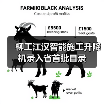 柳工江汉智能施工升降机录入省首批目录（图4）