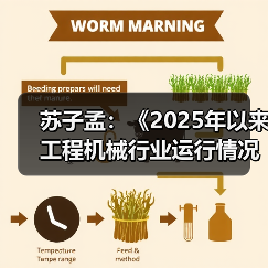 苏子孟：《2025年以来工程机械行业运行情况与全年展望》（图4）