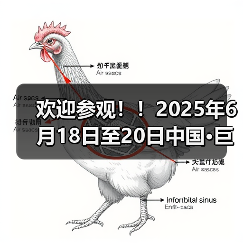 欢迎参观！！2025年6月18日至20日中国·巨鹿特色机件产品展览会观众预登记正式开启！！（图3）