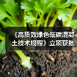 《高质效绿色低碳混凝土技术规程》立项获批（图3）
