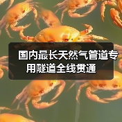 国内最长天然气管道专用隧道全线贯通(图4) 国内最长天然气管道专用隧道全线贯通(图4)