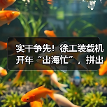 实干争先！徐工装载机开年“出海忙”，拼出新成绩（图2）