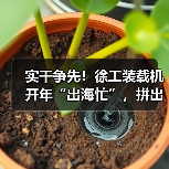 实干争先！徐工装载机开年“出海忙”，拼出新成绩（图3）