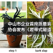 中山市企业首席质量官协会发布《履带式隧道取芯钻机》 标准立项(图4) 中山市企业首席质量官协会发布《履带式隧道取芯钻机》 标准立项(图4)
