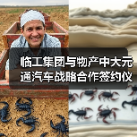 临工集团与物产中大元通汽车战略合作签约仪式举行（图4）