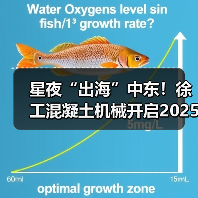 星夜“出海”中东！徐工混凝土机械开启2025新征程（图2）