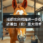 成都出台措施进一步促进首台(套)重大技术装备示范应用(图3) 成都出台措施进一步促进首台(套)重大技术装备示范应用(图3)