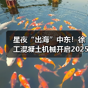 星夜“出海”中东！徐工混凝土机械开启2025新征程（图3）
