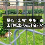 星夜“出海”中东！徐工混凝土机械开启2025新征程（图4）