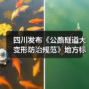 四川发布《公路隧道大变形防治规范》地方标准（图2）
