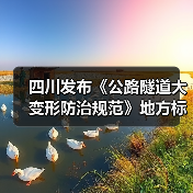四川发布《公路隧道大变形防治规范》地方标准（图4）