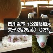 四川发布《公路隧道大变形防治规范》地方标准（图3）