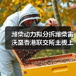 潍柴动力拟分拆潍柴雷沃至香港联交所主板上市（图2）