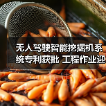 无人驾驶智能挖掘机系统专利获批 工程作业迎来新变革（图4）