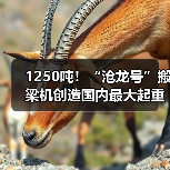1250吨!“沧龙号”搬梁机创造国内最大起重吨位纪录(图2) 1250吨!“沧龙号”搬梁机创造国内最大起重吨位纪录(图2)