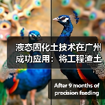 液态固化土技术在广州成功应用：将工程渣土变废为宝（图2）