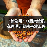 “紫荆号”U盾架管机在香港元朗南基建工程始发（图4）