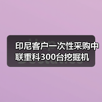 印尼客户一次性采购中联重科300台挖掘机(图3) 印尼客户一次性采购中联重科300台挖掘机(图3)