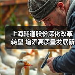 上海隧道股份深化改革转型 增添高质量发展新动能(图3) 上海隧道股份深化改革转型 增添高质量发展新动能(图3)
