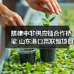 搭建中非供应链合作桥梁 山东港口赢联盟项目助力“中国制造”加速出海(图4) 搭建中非供应链合作桥梁 山东港口赢联盟项目助力“中国制造”加速出海(图4)