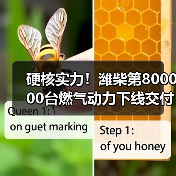 硬核实力！潍柴第800000台燃气动力下线交付（图2）