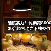 硬核实力！潍柴第800000台燃气动力下线交付（图4）