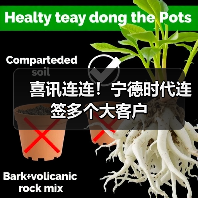 喜讯连连！宁德时代连签多个大客户（图2）