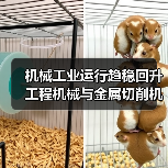 机械工业运行趋稳回升 工程机械与金属切削机床双线复苏(图2) 机械工业运行趋稳回升 工程机械与金属切削机床双线复苏(图2)