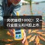 光伏目标100亿！又一行业巨头拟H股上市（图3）