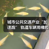 城市公共交通产业“加速跑” 轨道车辆用橡胶弹性元件守护安全（图3）