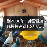到2030年，冰雪经济总规模将达到1.5万亿元（图3）