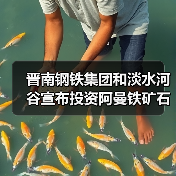 晋南钢铁集团和淡水河谷宣布投资阿曼铁矿石选矿厂（图2）