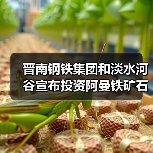 晋南钢铁集团和淡水河谷宣布投资阿曼铁矿石选矿厂（图3）