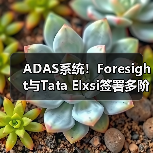 ADAS系统！Foresight与Tata Elxsi签署多阶段合作协议（图3）