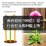 光伏目标100亿！又一行业巨头拟H股上市（图4）