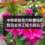 中铁装备助力秘鲁钱凯隧道主体工程全部完工（图4）