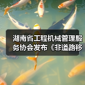 湖南省工程机械管理服务协会发布《非道路移动工程机械二手设备评估通则》（图3）