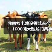 我国核电建设领域首个!1600吨大型龙门吊完成吊装作业(图3) 我国核电建设领域首个!1600吨大型龙门吊完成吊装作业(图3)