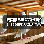 我国核电建设领域首个!1600吨大型龙门吊完成吊装作业(图2) 我国核电建设领域首个!1600吨大型龙门吊完成吊装作业(图2)