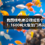 我国核电建设领域首个!1600吨大型龙门吊完成吊装作业(图4) 我国核电建设领域首个!1600吨大型龙门吊完成吊装作业(图4)