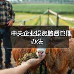 中央企业投资监督管理办法(图2) 中央企业投资监督管理办法(图2)