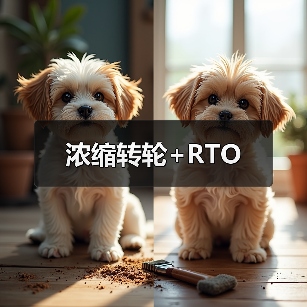 浓缩转轮+RTO(图3) 浓缩转轮+RTO(图3)