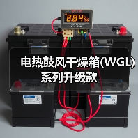 电热鼓风干燥箱(WGL)系列升级款(图2) 电热鼓风干燥箱(WGL)系列升级款(图2)