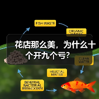 花店那么美,为什么十个开九个亏?(图2) 花店那么美,为什么十个开九个亏?(图2)