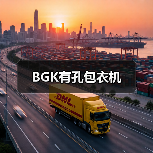 BGK有孔包衣机（图2）