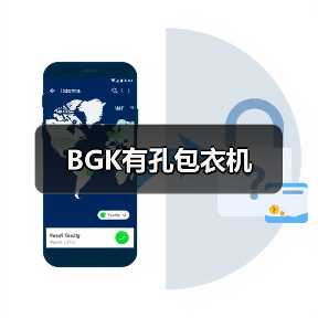 BGK有孔包衣机（图4）
