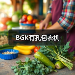 BGK有孔包衣机（图3）