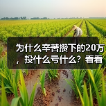 为什么辛苦攒下的20万,投什么亏什么?看看老周的理财账户就知道了(图2) 为什么辛苦攒下的20万,投什么亏什么?看看老周的理财账户就知道了(图2)